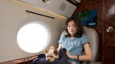 プライベート・ジェットで愛犬と休暇旅行、香港の旅行会社が企画