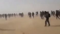 【アフガニスタン】アフリカ系不法移民1万人超を逮捕　サハラ砂漠に棄民