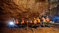 タイ洞窟の救出作戦成功、13人全員が生還