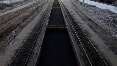 パキスタン、中国「一帯一路」鉄道事業予算を約2300億円削減