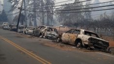 米カリフォルニア州の山火事、死者少なくとも42人