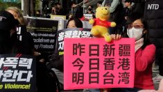【動画ニュース】韓国の大学生団体 ソウルで香港支持デモ
