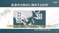 【動画ニュース】台湾が武漢に専門家を派遣 新型コロナウィルスの調査