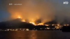 四川省の山火事 消防士ら19人死亡 当局の人命への軽視が招いた悲劇