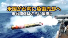 米国が台湾に魚雷売却へ 米台関係はさらに緊密に