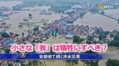 安徽省で続く洪水災害 被災者は「自力で何とかするしかない」