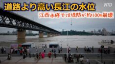 道路より高い長江の水位 江西永修では堤防が約100メートル崩壊【禁聞】