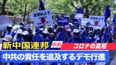 「中共が隠蔽しているコロナの真相」新中国連邦が大阪でデモ行進