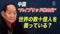 水稲研究の権威・袁隆平氏を批判したネットユーザーを逮捕