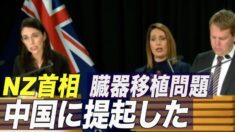 NZ与党議員が中共の強制臓器摘出を批判 首相「中国に臓器移植の問題を提起した」