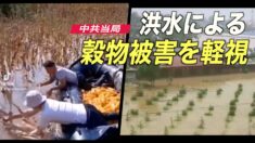 中共当局 洪水による穀物被害を軽視