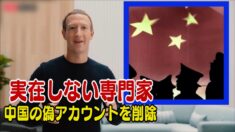 FacebookとTwitter 中国の偽アカウントを削除＝実在しないスイス人専門家