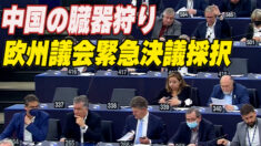 中国の臓器狩り 欧州議会が緊急決議案採択