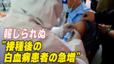 報じられぬ「ワクチン接種後の白血病患者の急増」【禁聞】